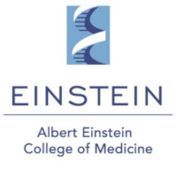 Sjulson Albert Einstein College of Medicine Bronx NY, USA