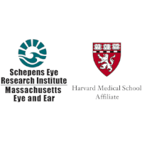Vision Rehabilitation Lab Massachusetts Eye and Ear Company Logo Boston MA, USA