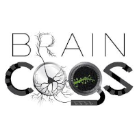 BRAIN CoGS Princeton University Princeton NJ, USA Company Logo