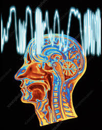AI Predicts Coma Outcome from EEG Trace