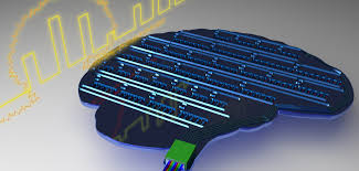 From Brain Cells, Engineering Bio-Micro Chips That Combine Biological And Artificial Qualities