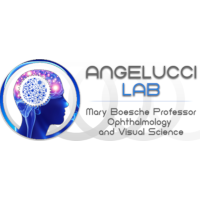 Angelucci Lab Company Logo in University of Utah in Salt Lake City, UT, USA