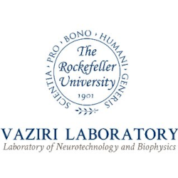 Vaziri Laboratory, The Rockefeller University Company Logo Neurotech Job Opening Positions Hiring